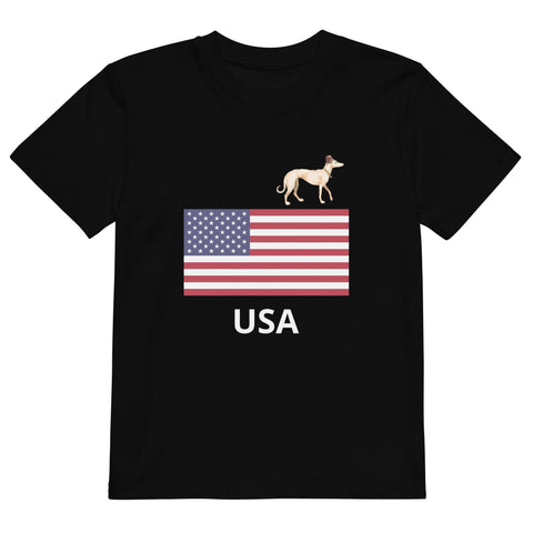 USA kids t-shirt